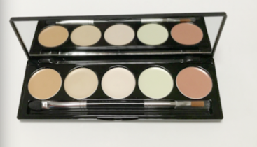 conceal & highlight with our pro-correcting palette